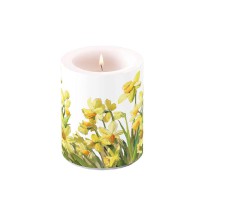 Kerze Big "Golden Daffodils" H 12cm x D 10cm