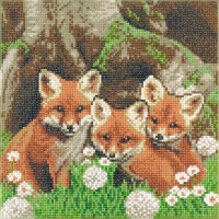 Crystal Art Bild "Fox Cubs" 30x30 cm